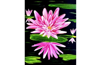 Pink Lotus on Black Canvas